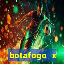 botafogo x palmeiras ao vivo futemax